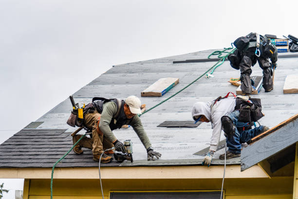 Professional Gutter Installation technician working in Audubon, MN